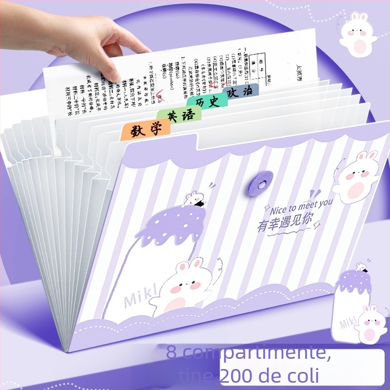 Dosar acordeon pentru documente, plastic transparent, 12 buzunare, grosime 0,6 mm