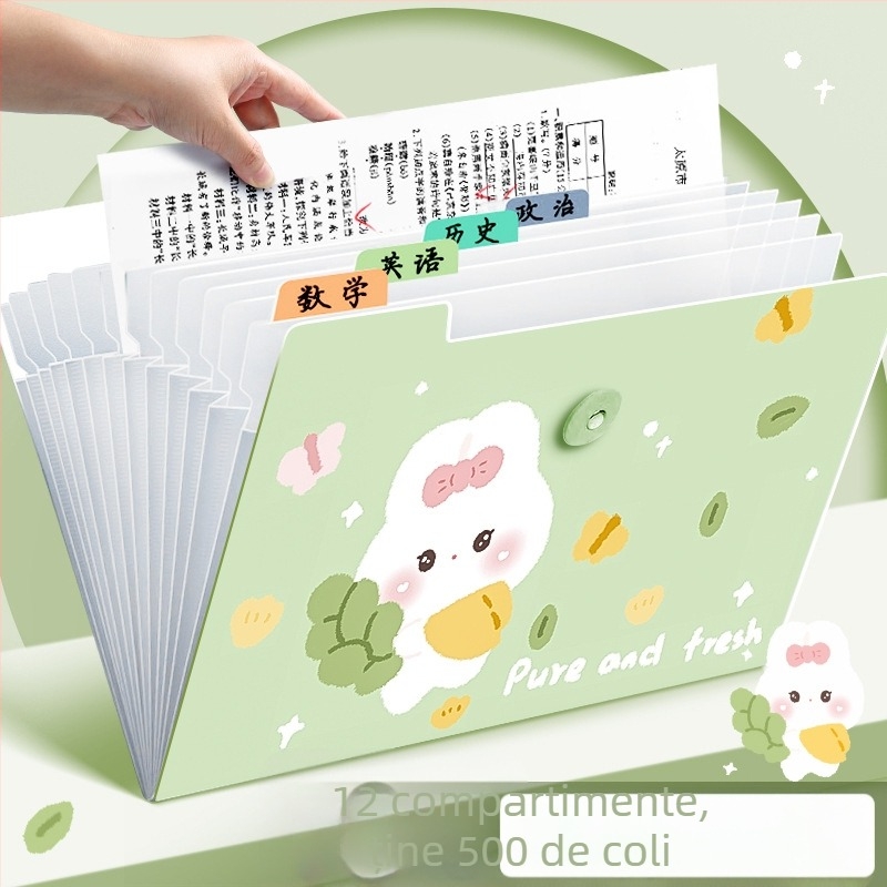 Dosar acordeon pentru documente, plastic transparent, 12 buzunare, grosime 0,6 mm