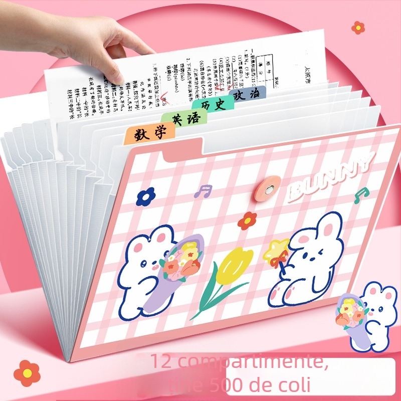 Dosar acordeon pentru documente, plastic transparent, 12 buzunare, grosime 0,6 mm