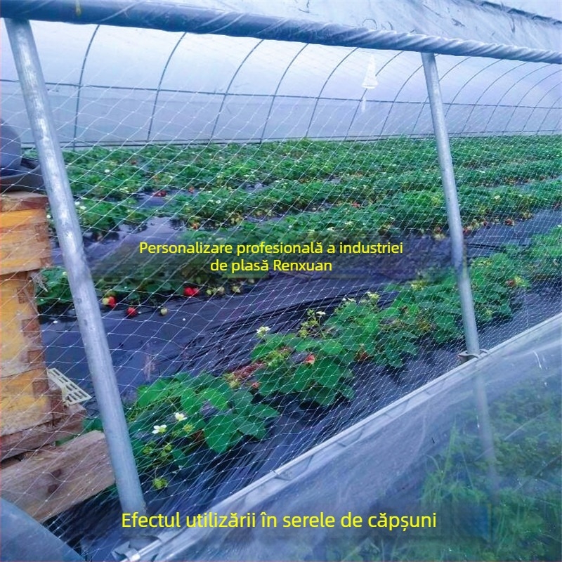 Plasă de protecție împotriva păsărilor pentru seră cu ventilație – pentru căpșuni, pepeni, struguri și pomi fructiferi