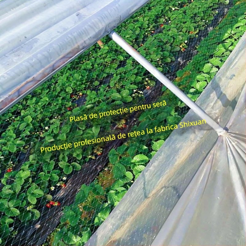 Plasă de protecție împotriva păsărilor pentru seră cu ventilație – pentru căpșuni, pepeni, struguri și pomi fructiferi