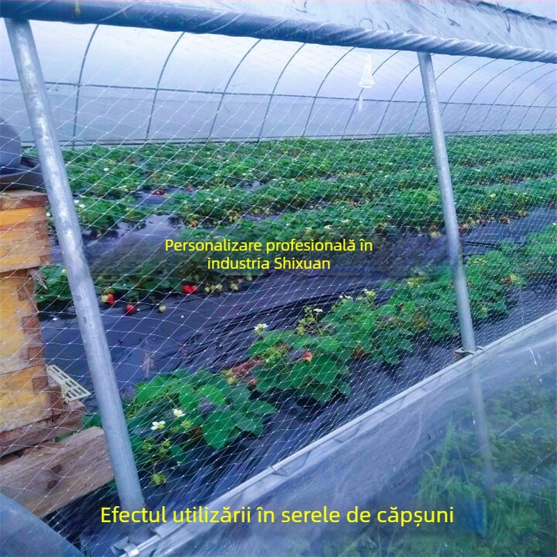 Plasă de protecție împotriva păsărilor pentru seră cu ventilație – pentru căpșuni, pepeni, struguri și pomi fructiferi