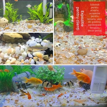 Nisip de fund pentru acvariu pentru amenajare – peisaj acvatic natural, decor cu jad și nisip perlat (Material: Altele; Origine: Altele; Scop principal: Altele; Funcție: Altele)