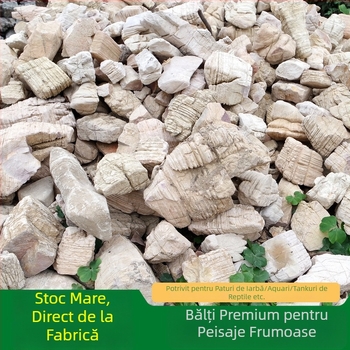 Piatră naturală cu mai multe straturi pentru amenajări acvatice și grădină | 0,1–10 kg/buc | Ambalaj personalizabil | Piatră de peisaj