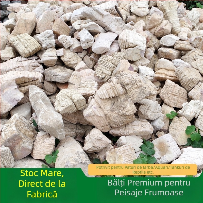 Piatră naturală cu mai multe straturi pentru amenajări acvatice și grădină | 0,1–10 kg/buc | Ambalaj personalizabil | Piatră de peisaj