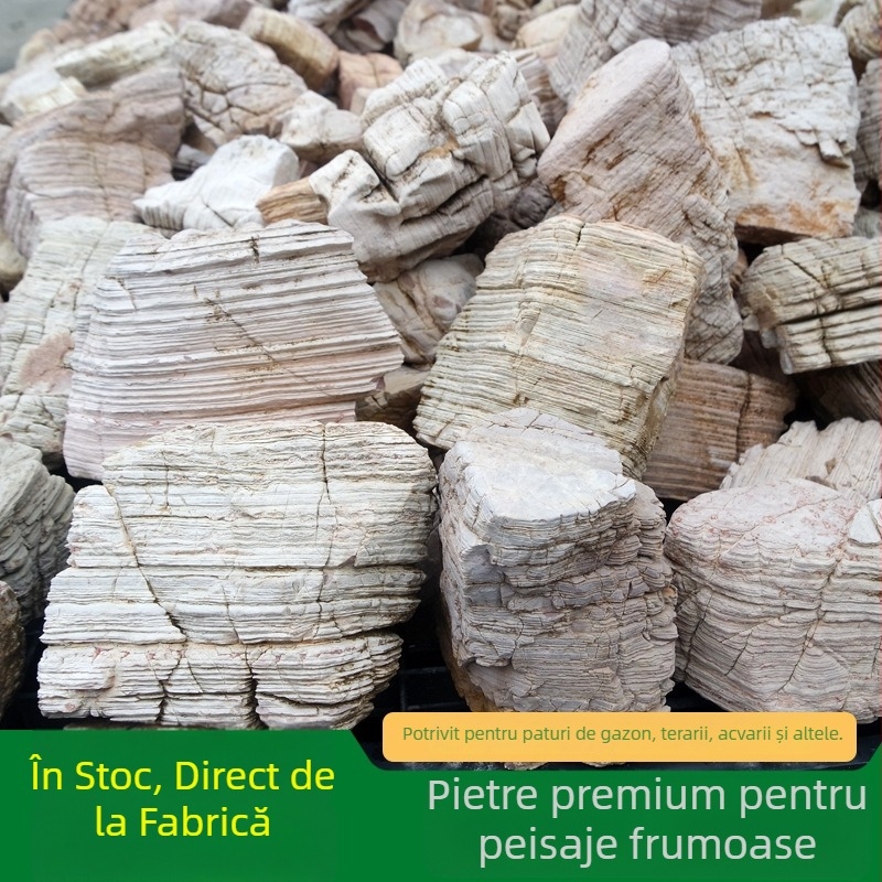 Piatră naturală cu mai multe straturi pentru amenajări acvatice și grădină | 0,1–10 kg/buc | Ambalaj personalizabil | Piatră de peisaj