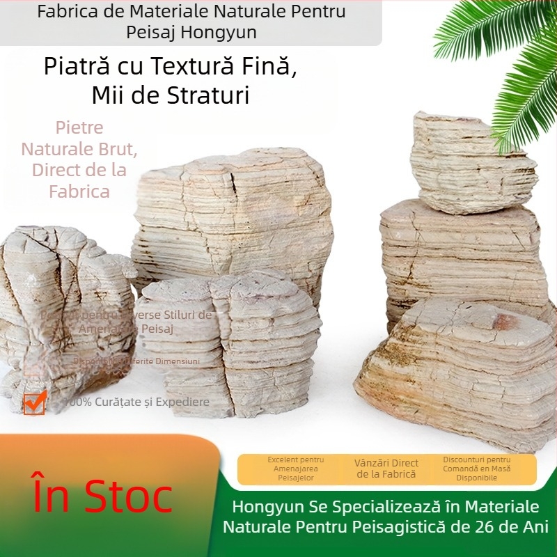 Piatră naturală cu mai multe straturi pentru amenajări acvatice și grădină | 0,1–10 kg/buc | Ambalaj personalizabil | Piatră de peisaj