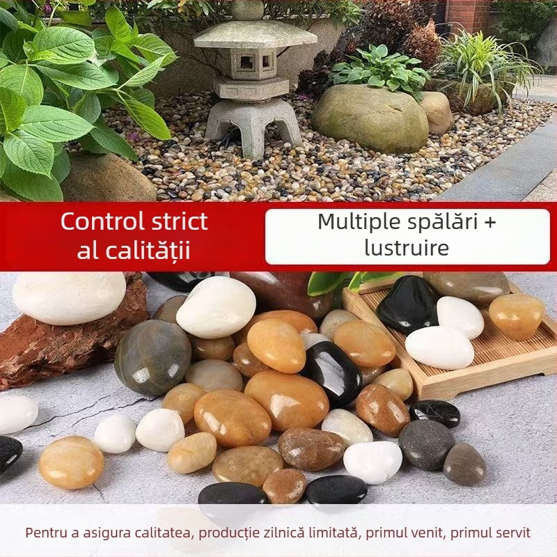 Pietre decorative colorate pentru curte și acvariu, amenajare grădină