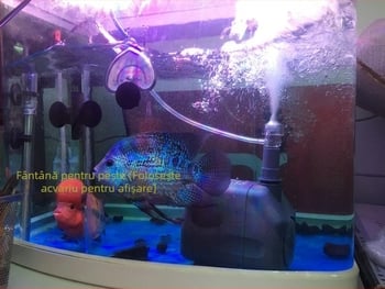 Songbao WP3550 pompă submersibilă pentru acvariu — 45W, filtrare, circulație, oxigenare