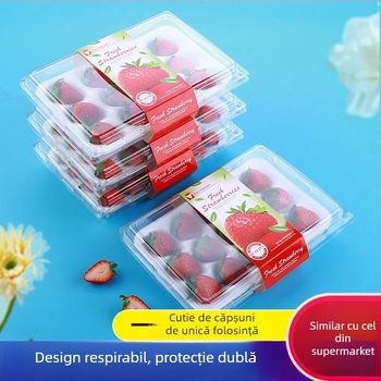 Cutie pentru căpșuni, transparentă, cu suport interior, model 500p, PE plastic