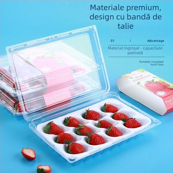 Cutie pentru căpșuni, transparentă, cu suport interior, model 500p, PE plastic