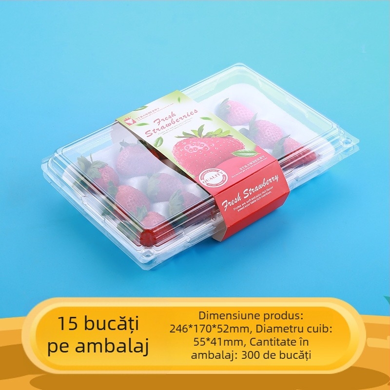 Cutie pentru căpșuni, transparentă, cu suport interior, model 500p, PE plastic