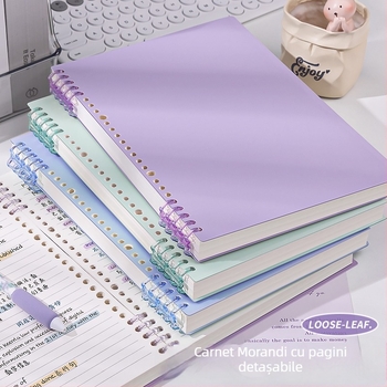 Caiet cu foi detașabile, legare tip dosar, hârtie cu dublă acoperire 80 gsm, 50–100 pagini, copertă PP
