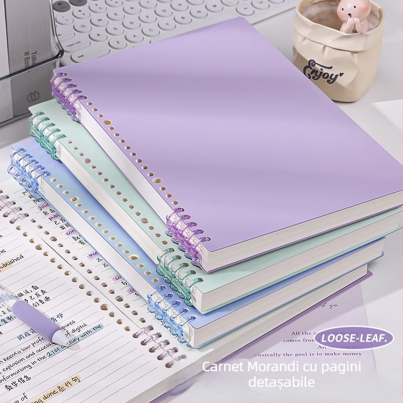 Caiet cu foi detașabile, legare tip dosar, hârtie cu dublă acoperire 80 gsm, 50–100 pagini, copertă PP