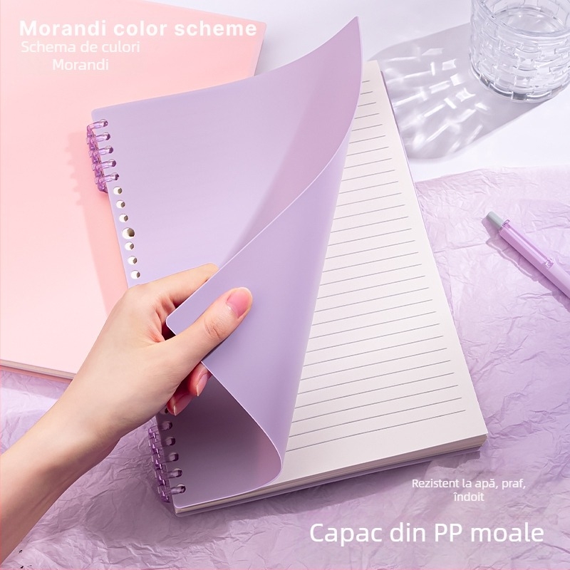 Caiet cu foi detașabile, legare tip dosar, hârtie cu dublă acoperire 80 gsm, 50–100 pagini, copertă PP
