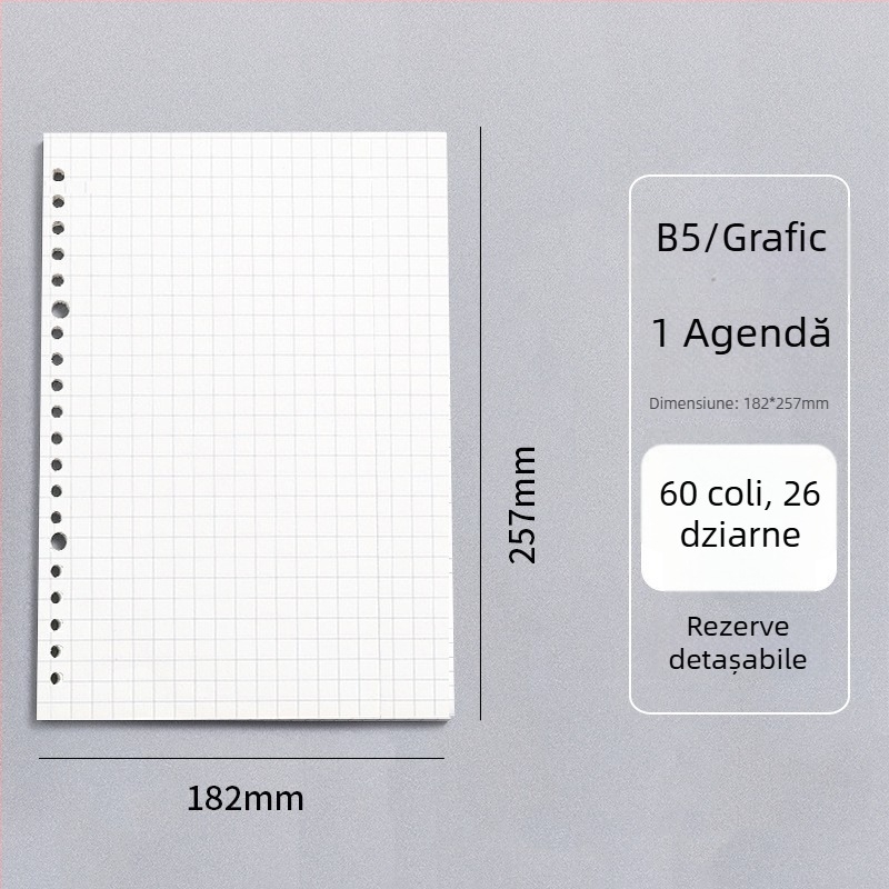 Caiet cu foi detașabile, legare tip dosar, hârtie cu dublă acoperire 80 gsm, 50–100 pagini, copertă PP