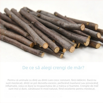 Bețișor de dentiție pentru hamsteri și iepuri – ramură de măr, pentru rozătoare mici – pungă Ziplock