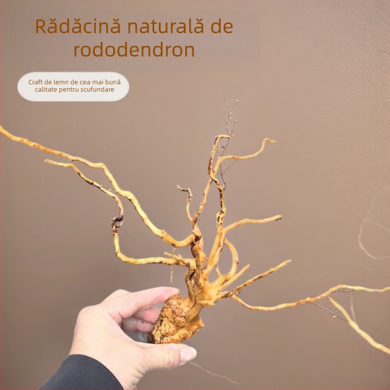 Decor peisaj acvariu: mușchi, lemn plutitor în formă de copac, rădăcini de rhododendron, 1 bucată pe cutie