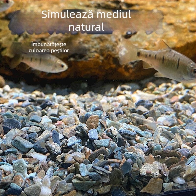 Nisip natural pentru fundul acvariului, amenajări acvaristice