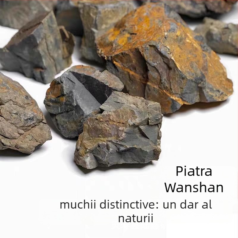 Lu xin Piatră de peisaj pentru acvariu – Cutie: 1, Greutate: 1, Brand: Lu xin, Categorie: Landscaping stone