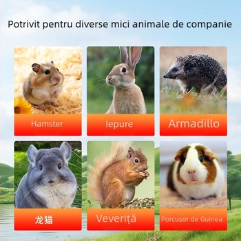 Supliment nutrițional lichid pentru hamsteri - pentru hamsteri tineri de culoare galben-auriu, ambalaj din plastic, origine Luoyang, hrană pentru animale de companie
