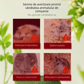 Supliment nutrițional lichid pentru hamsteri - pentru hamsteri tineri de culoare galben-auriu, ambalaj din plastic, origine Luoyang, hrană pentru animale de companie