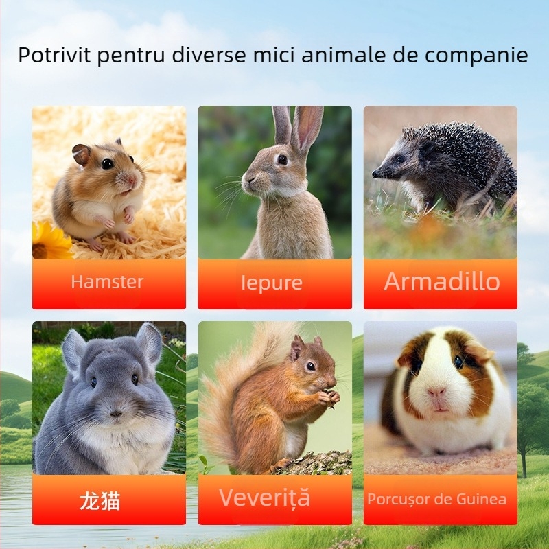 Supliment nutrițional lichid pentru hamsteri - pentru hamsteri tineri de culoare galben-auriu, ambalaj din plastic, origine Luoyang, hrană pentru animale de companie