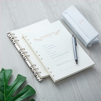 Clip metal pentru dosare Dacheng 97PJ, metal, dosar multipagin