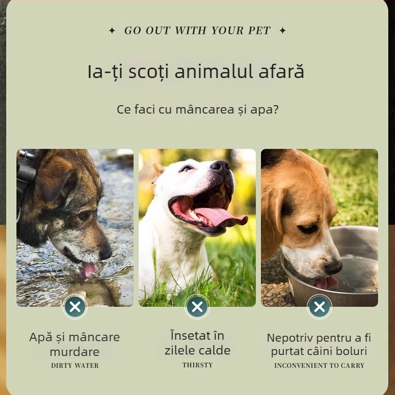 Vas pliabil pentru animale de companie, vas de hrănire exterior portabil pentru pisici și câini, Xuan chong, material TPE, Cutie 200/300