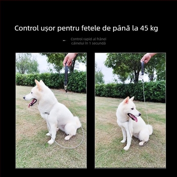 Lesă pentru câine din oțel inoxidabil, pentru plimbări, antrenament profesional, design cu noduri durabil