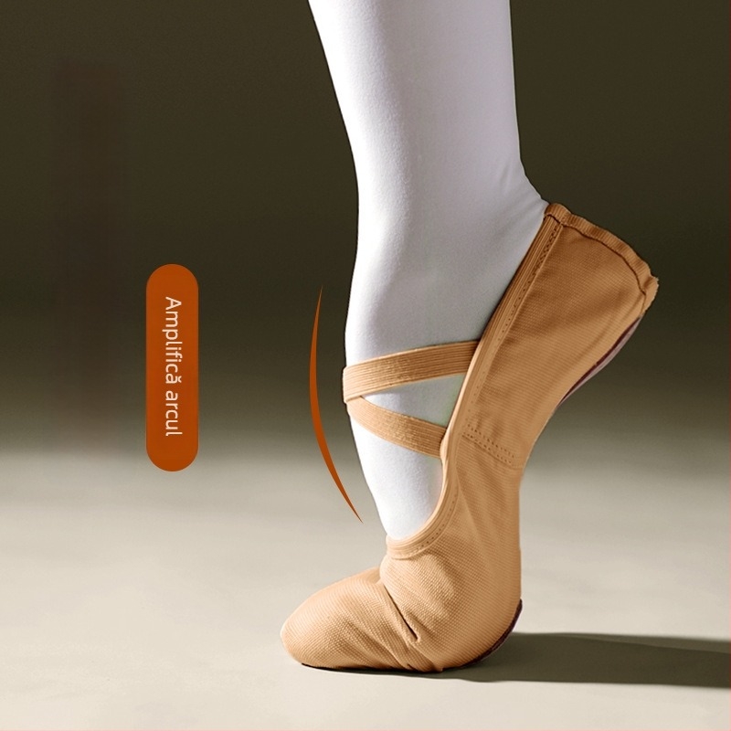 Pantofi de dans pentru femei — ușori, profesioniști, clasici, pentru fete și copii, design labă de pisică (Talpă: 27366; Partea superioară: Alte materiale; Talpă interioară: Alte materiale)