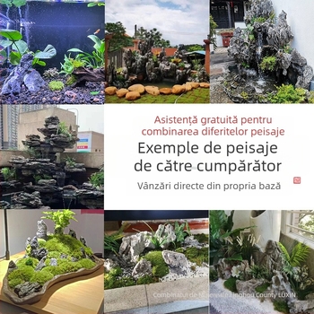 Piatră de peisaj Lu Xin, origine Yingde, ambalare 1, greutate 1