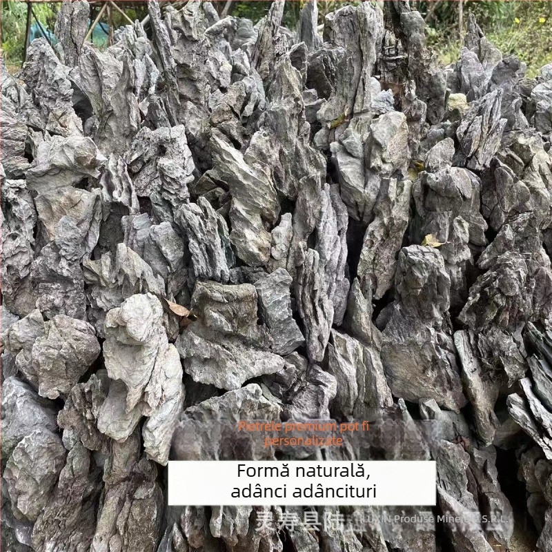 Piatră de peisaj Lu Xin, origine Yingde, ambalare 1, greutate 1