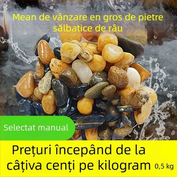 Piatra de amenajare pentru acvariu cu bacterii benefice