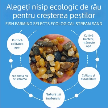 Piatra de amenajare pentru acvariu cu bacterii benefice