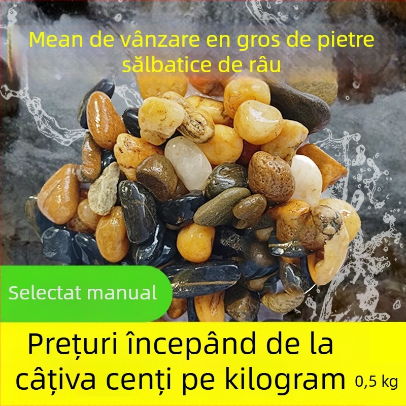 Piatra de amenajare pentru acvariu cu bacterii benefice