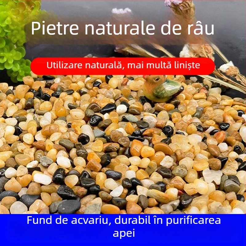 Piatra de amenajare pentru acvariu cu bacterii benefice