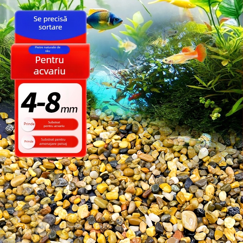 Piatra de amenajare pentru acvariu cu bacterii benefice