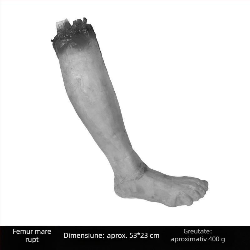 Rekvizite Halloween pentru casă bântuită, bar și camere de evadare: inimă falsă realistă, sânge fals, mână tăiată, picior tăiat