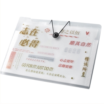 Dosar acordeon A4, 5 compartimente, din plastic, organizator de documente