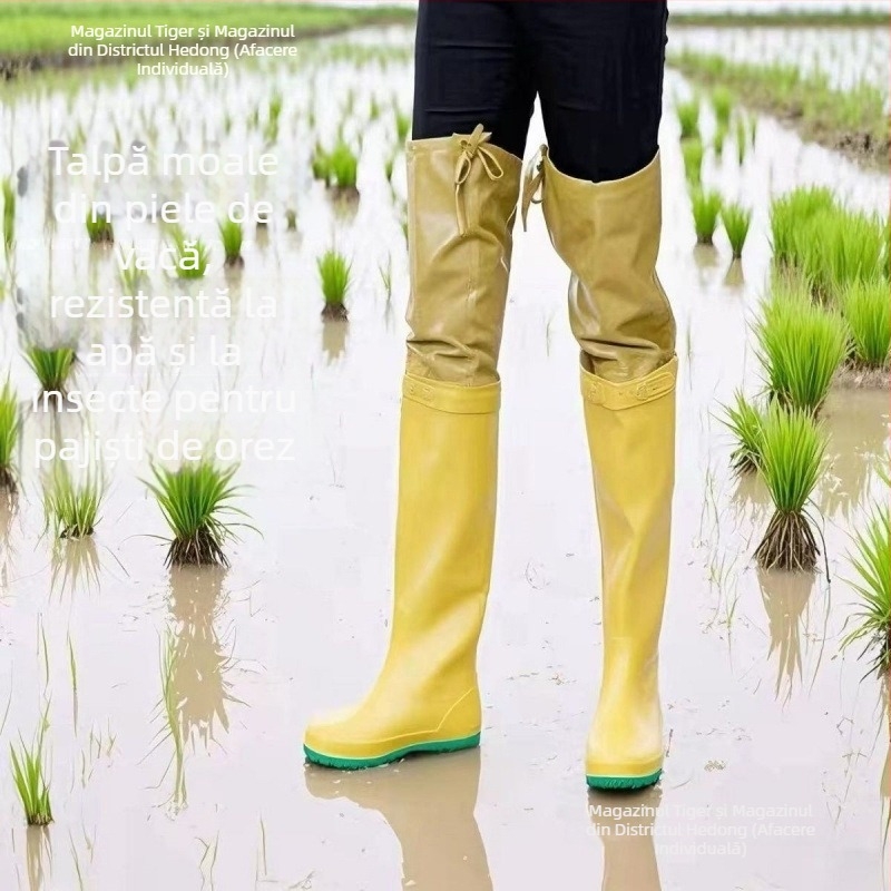 Ghete pentru plantarea orezului, bocanci de teren din cauciuc înalți, fermoar lateral, partea superioară și talpa din cauciuc