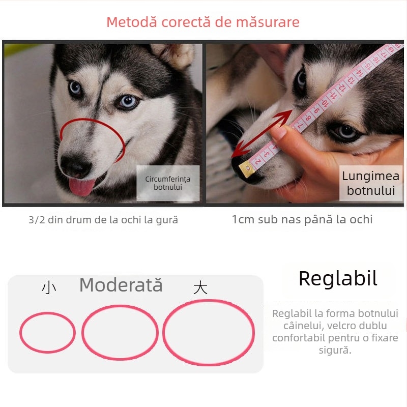 Set botnițe de câini – Anti-mușcare, Anti-lătratul, Protecție împotriva mestecării, Acoperire a gurii pentru câini; Material: Altceva; Importat: Nu; Cod articol: 703109860502