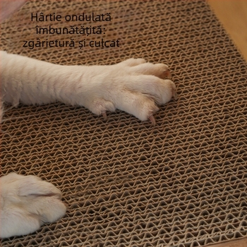 Meow Fairy Placă de zgâriere pentru pisici cu ramă foto drăguță — Multifuncțională, Suprafață înlocuibilă, Material: Density Board, Stil: Cute