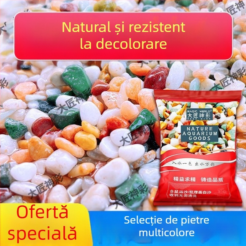 Pietre Rain Flower naturale pentru fundul acvariului, suprafață pentru hidroponie și decor pentru suculente.