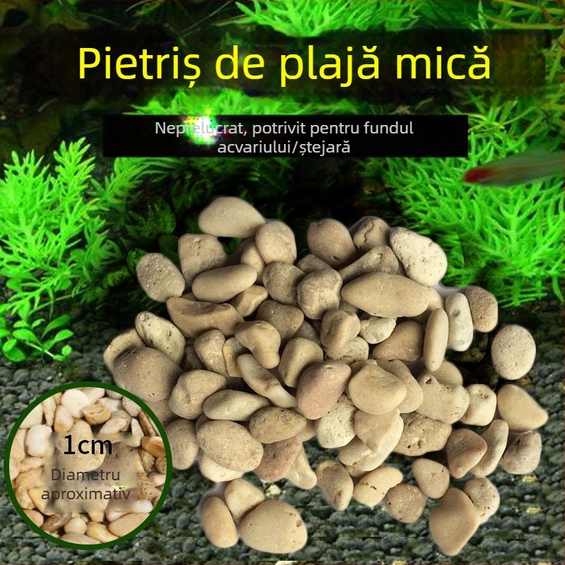 Pietre pentru fundul acvariu — Real Stone; Origine Zhejiang; Ambalaj 20 kg; Greutate 500 g