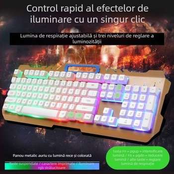 Set tastatură și mouse cablat cu USB, optic 1200 DPI, iluminare de fundal, pentru desktop și laptop