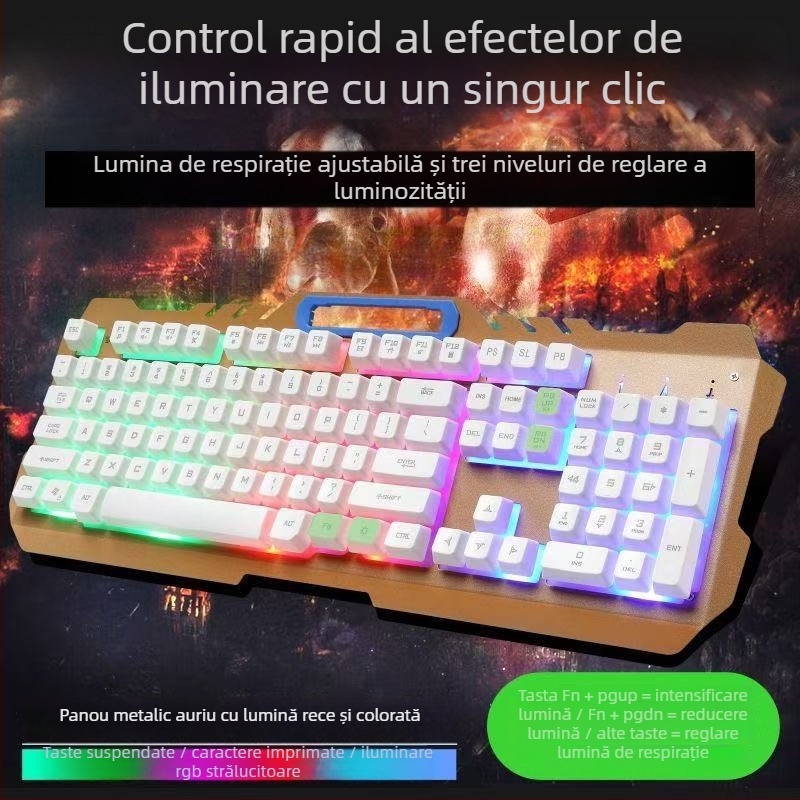 Set tastatură și mouse cablat cu USB, optic 1200 DPI, iluminare de fundal, pentru desktop și laptop