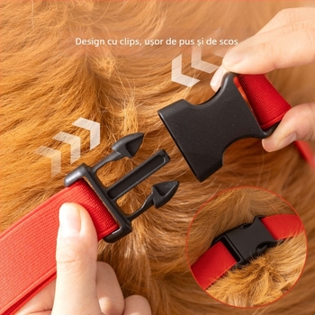 Protector pentru cot și gardă pentru picior pentru câine, cu dungi desen animate – fibre poliesterice, pentru toate sezoanele, stil casual