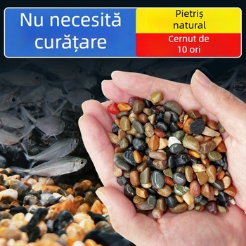 Pietre naturale pentru substratul acvariului: nisip, pietriș și pietre de râu pentru decorarea peisajelor acvatice