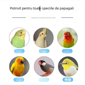 Jucărie pentru papagal cu platformă din lemn Zanthoxylum, bețișor de mestecat și funcție de zdruncinare